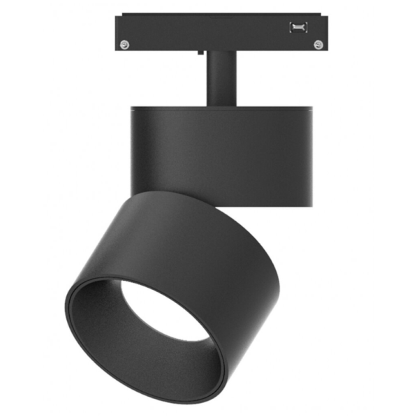 LED magnetinis prožektorius M20 5379